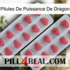 Dragon Power Pills 19